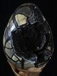 Septarian Dragon Egg Geode - Black Crystals #37117-5